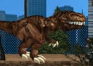 N.Y. Rex