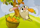 Carrot Rush