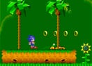 Sonic Xtreme