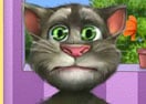 Tom Cat Role Experience