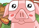 Pet Piglet