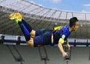 Flappy Van Persie