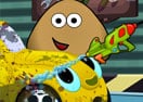 Pou's Car Wash and Spa