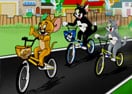 Toms BMX Race