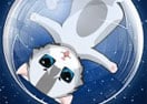 Rolling Kitty
