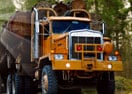 Timber Lorry Driver 2