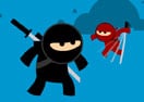 Ninja CC