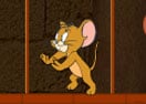Tom And Jerry Majestic Pyramid