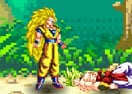 Dragon Ball Fierce Fighting 2.6