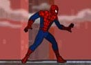 Spiderman Wall Exchange