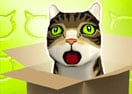 Cat Box Bowling
