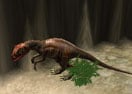 Reptilian Roundup