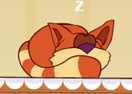 Lazy Cats