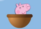 George Baskets