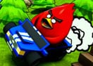 Poultry ACE Downhill