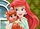 Ariel Palace Pets