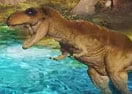Dinosaur Land
