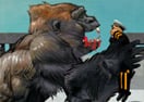 Big Bad Ape