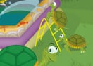 Turtle Pool