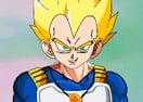 Vestindo o Vegeta