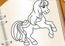 Pony Coloring Book 5