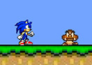 Sonic in Mario Crazy World