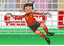 Ragdoll Goalie