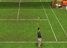 Tennis Grand Slam