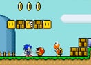 Sonic in Mario World 2