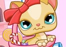 Kitty's Candies