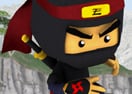 Ninja Master