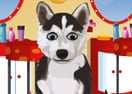 Petz Fashion