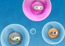 Rebound Bubble