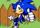 Sonic in the Garden