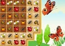 Doyu Gems
