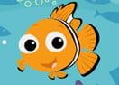 Finding Nemo Sea Safari