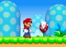 New Super Mario Bros Flash