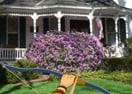 Hidden Targets Bungalows