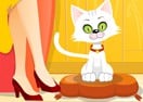 Virtual Cat