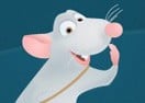 Journey of the Mouse