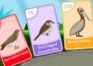 Bird Pax