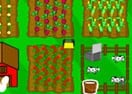 Farm Fun