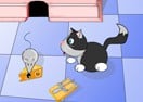 Mouse In My House