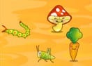 The Vegetable Rescue