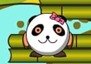 O Resgate do Urso