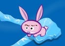 Race With Rabbit