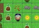 Magic Seeds