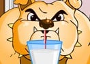 Dog Championship