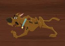 Scooby-Doo. Hallway Of Hijinks