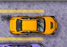 Skilled Driver